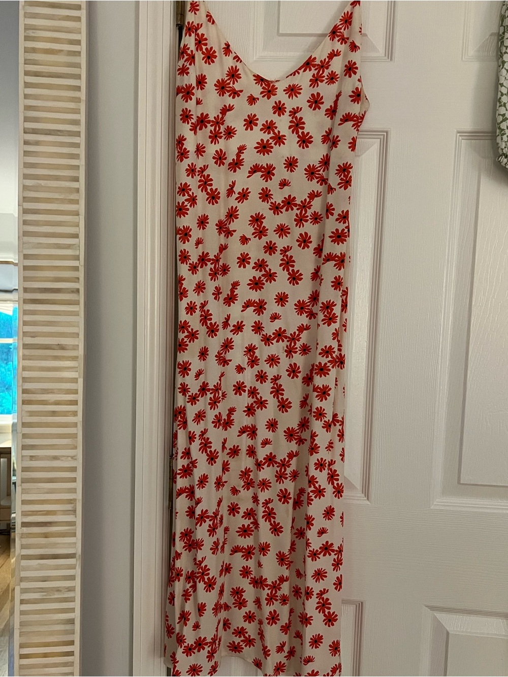 Reformation Cream Slip Maxi Dress with Red Daisy Print